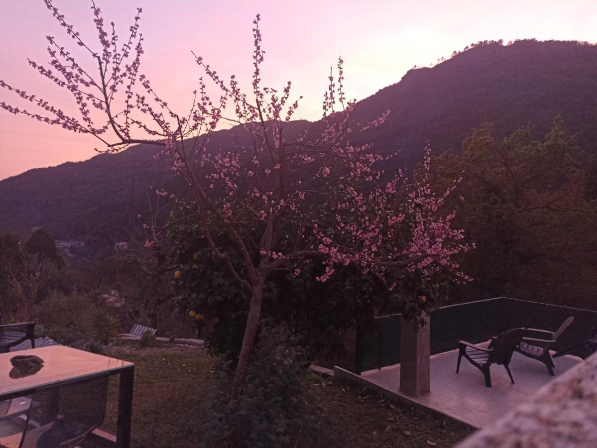 Casinhas Da Lu Apartamento Gerês Exterior foto